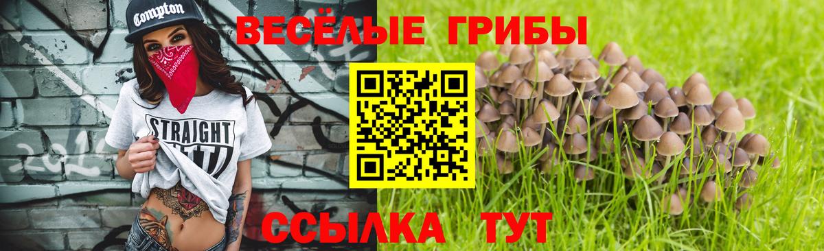 Псилоцибиновые грибы мицелий Нефтекамск