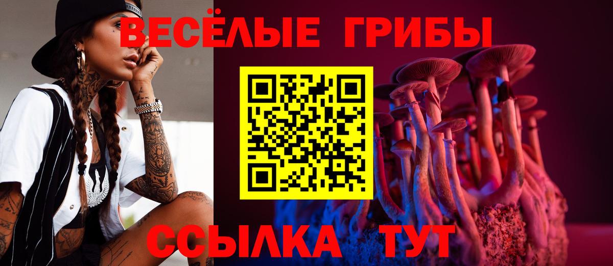 Псилоцибиновые грибы Psilocybine cubensis  Вход с VPN  Нефтекамск 